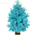 Голубая ель срезанная