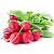 Семена редиса, редьки, репы